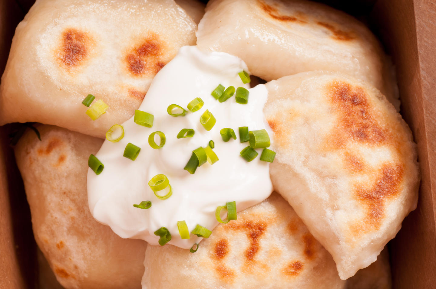 Take away pierogi or perogie with sour cream